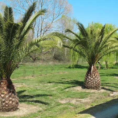 Dracena Hébergement de vacances *